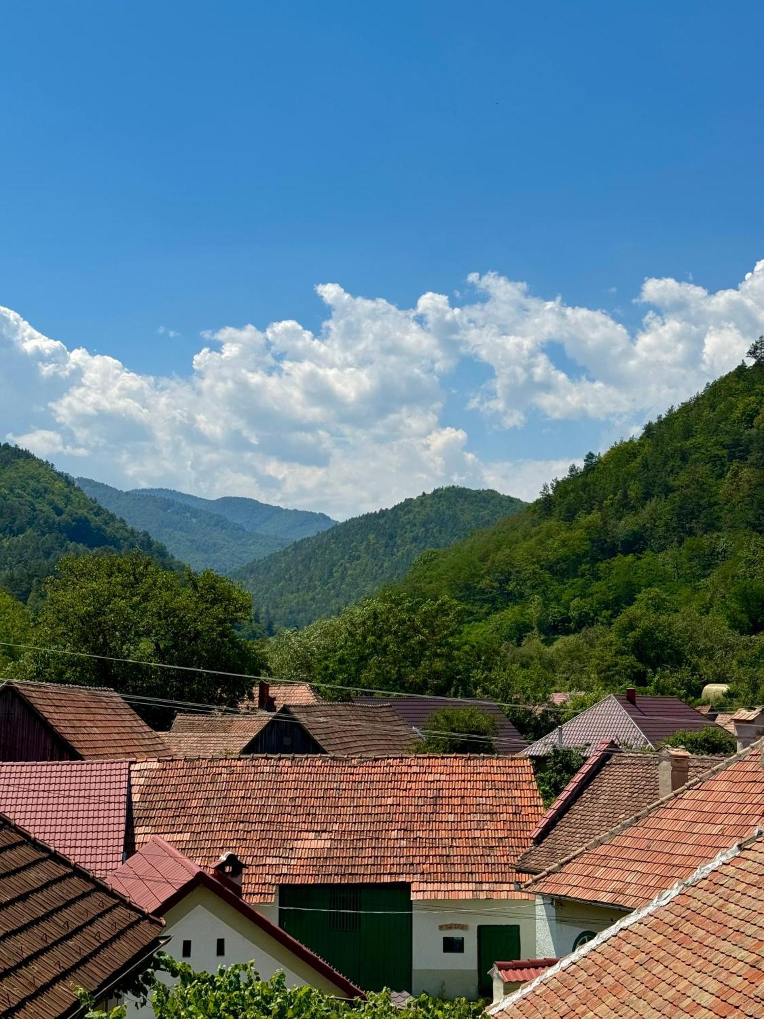 Casa Presecan Tălmaciu Eksteriør bilde